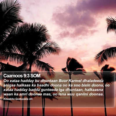 Caamoos 9:3 SOM Bible Verse Image
