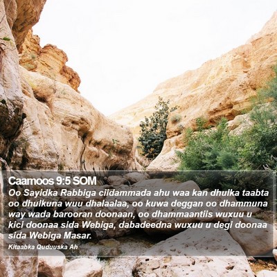 Caamoos 9:5 SOM Bible Verse Image