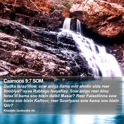 Caamoos 9:7 SOM Bible Verse Image