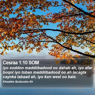 Cesraa 1:10 SOM Bible Verse Image