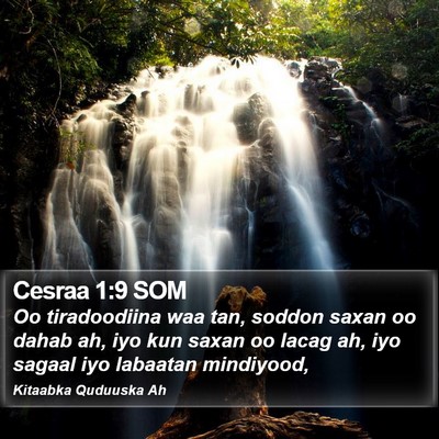 Cesraa 1:9 SOM Bible Verse Image