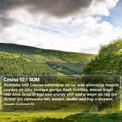 Cesraa 10:1 SOM Bible Verse Image