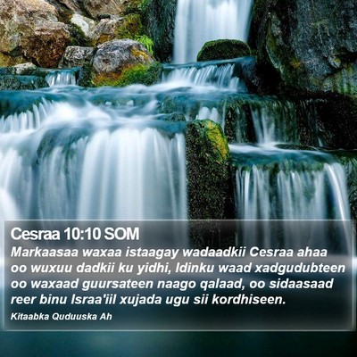 Cesraa 10:10 SOM Bible Verse Image