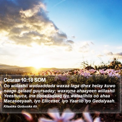 Cesraa 10:18 SOM Bible Verse Image