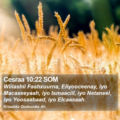 Cesraa 10:22 SOM Bible Verse Image