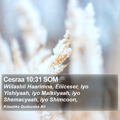 Cesraa 10:31 SOM Bible Verse Image