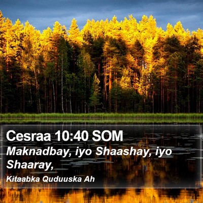 Cesraa 10:40 SOM Bible Verse Image