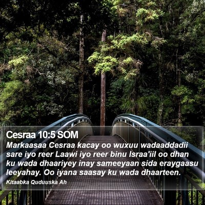 Cesraa 10:5 SOM Bible Verse Image