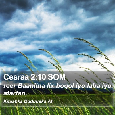 Cesraa 2:10 SOM Bible Verse Image