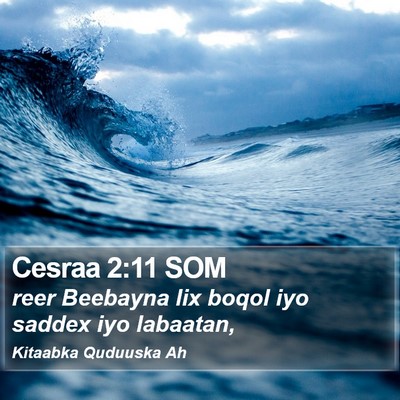 Cesraa 2:11 SOM Bible Verse Image