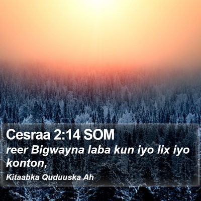 Cesraa 2:14 SOM Bible Verse Image