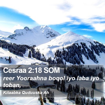 Cesraa 2:18 SOM Bible Verse Image