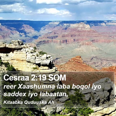 Cesraa 2:19 SOM Bible Verse Image
