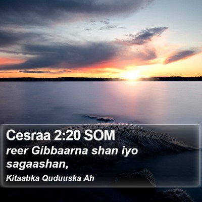 Cesraa 2:20 SOM Bible Verse Image