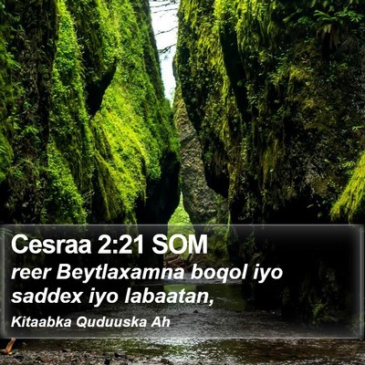 Cesraa 2:21 SOM Bible Verse Image