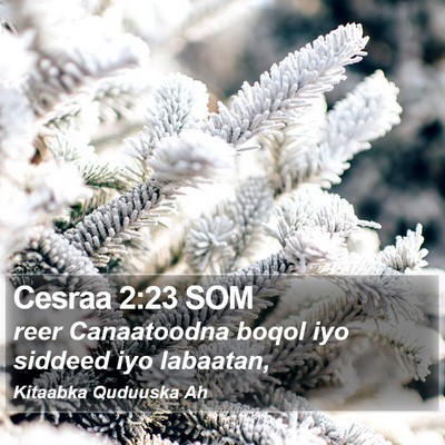 Cesraa 2:23 SOM Bible Verse Image