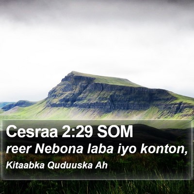 Cesraa 2:29 SOM Bible Verse Image