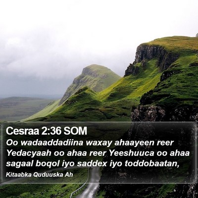Cesraa 2:36 SOM Bible Verse Image