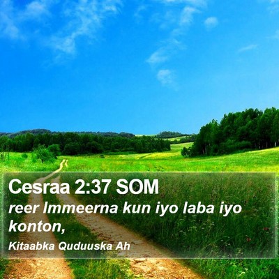 Cesraa 2:37 SOM Bible Verse Image