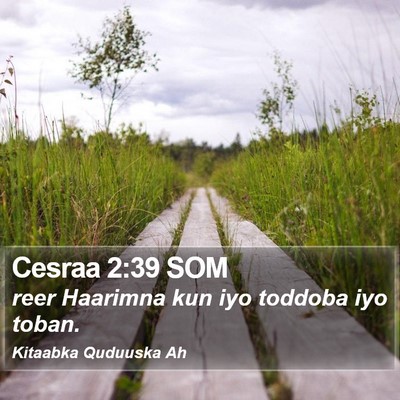 Cesraa 2:39 SOM Bible Verse Image