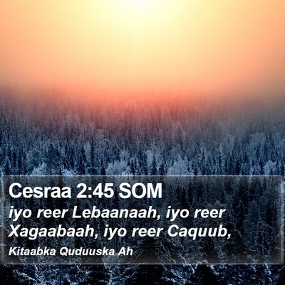 Cesraa 2:45 SOM Bible Verse Image