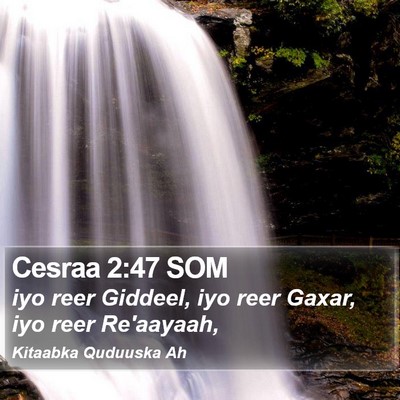 Cesraa 2:47 SOM Bible Verse Image