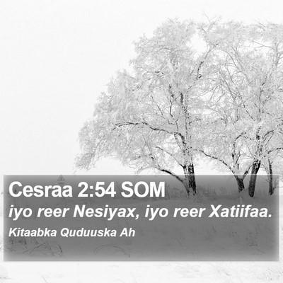 Cesraa 2:54 SOM Bible Verse Image