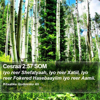 Cesraa 2:57 SOM Bible Verse Image