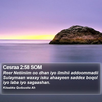 Cesraa 2:58 SOM Bible Verse Image