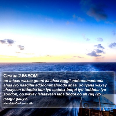 Cesraa 2:65 SOM Bible Verse Image