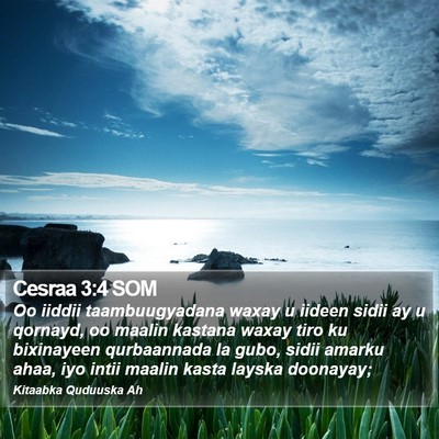 Cesraa 3:4 SOM Bible Verse Image