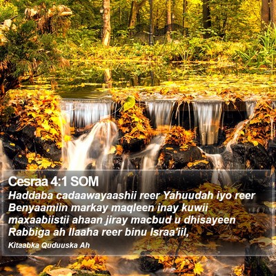 Cesraa 4:1 SOM Bible Verse Image