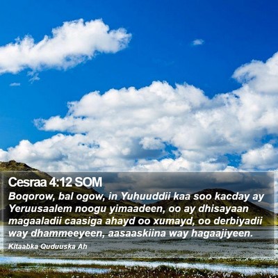 Cesraa 4:12 SOM Bible Verse Image
