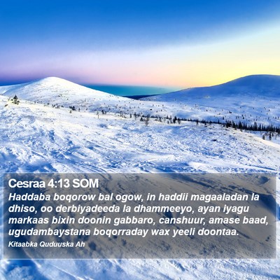 Cesraa 4:13 SOM Bible Verse Image