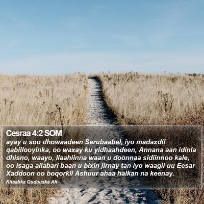Cesraa 4:2 SOM Bible Verse Image