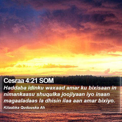 Cesraa 4:21 SOM Bible Verse Image
