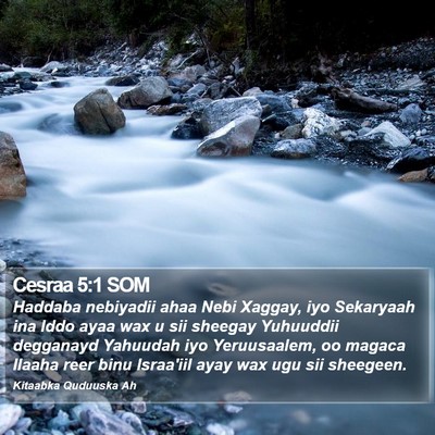 Cesraa 5:1 SOM Bible Verse Image