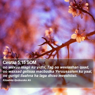 Cesraa 5:15 SOM Bible Verse Image