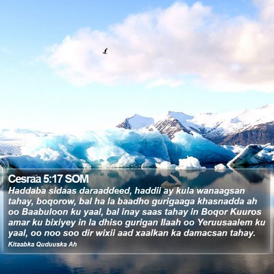 Cesraa 5:17 SOM Bible Verse Image