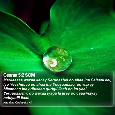 Cesraa 5:2 SOM Bible Verse Image