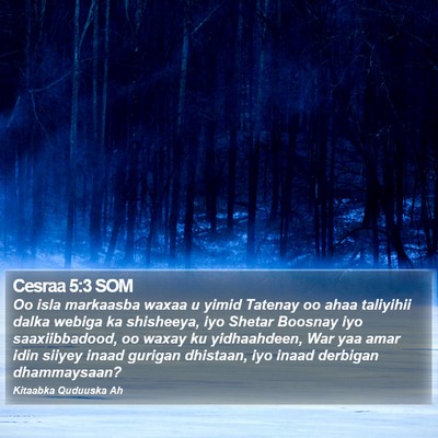 Cesraa 5:3 SOM Bible Verse Image