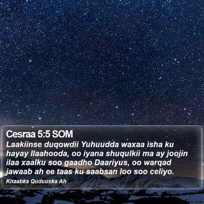 Cesraa 5:5 SOM Bible Verse Image
