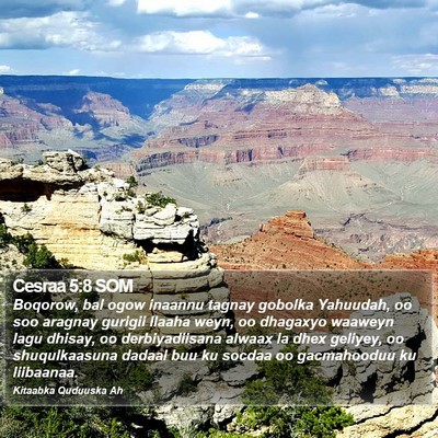 Cesraa 5:8 SOM Bible Verse Image