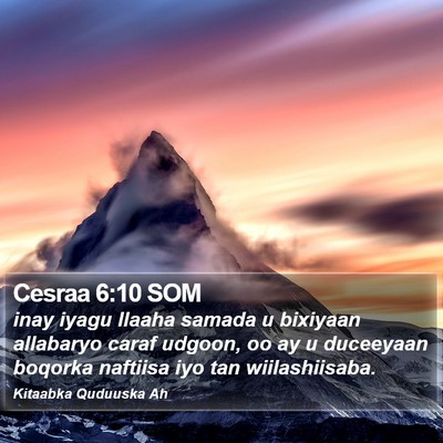 Cesraa 6:10 SOM Bible Verse Image