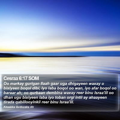 Cesraa 6:17 SOM Bible Verse Image