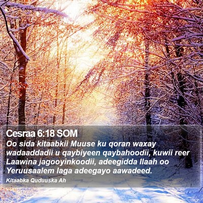 Cesraa 6:18 SOM Bible Verse Image