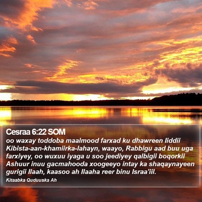 Cesraa 6:22 SOM Bible Verse Image