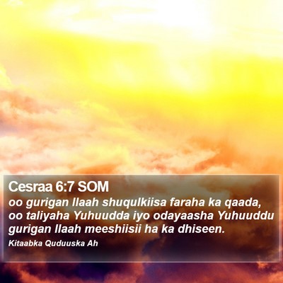 Cesraa 6:7 SOM Bible Verse Image