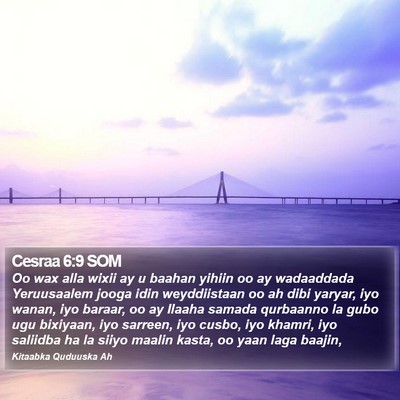 Cesraa 6:9 SOM Bible Verse Image