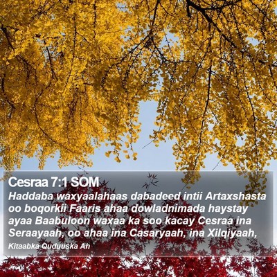 Cesraa 7:1 SOM Bible Verse Image